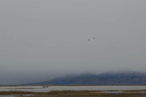 Duck hunting at Bear River Bird Refuge in Brigham City