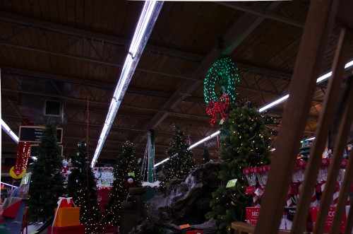 Trees, gifts, and Christmas decor await you at Smith and Edwards!