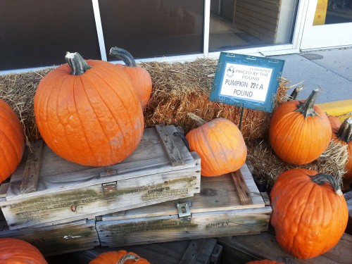 Pumpkins just 22 cents a pound at Smith & Edwards this October 2014