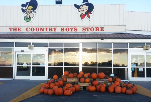 Pumpkins at the Country Boy Store, Smith & Edwards