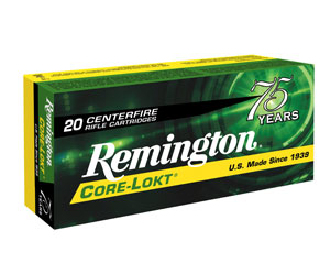 Remington ammo