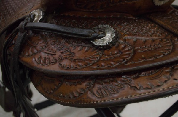 Shiny conchos and leather on your freshly-cleaned saddle!