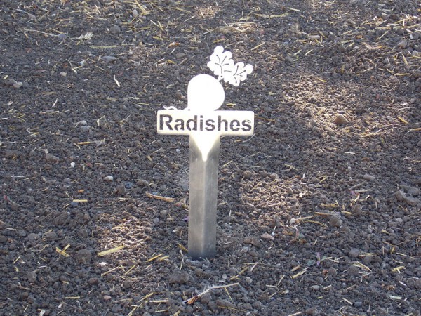 Radishes metal garden marker from Burnett at Smith & Edwards