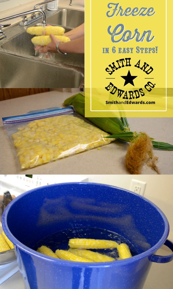 How to freeze corn in 6 easy steps!