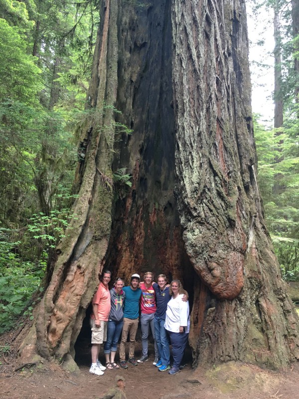 Lauren's family in the Redwoods
