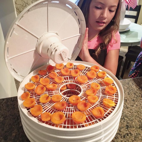 Maggie making dried apricots