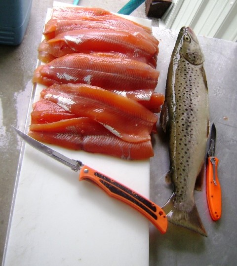Fileting fish with the Havalon Piranta
