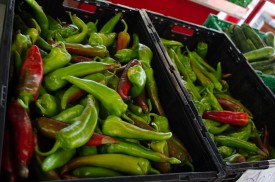 Anaheim peppers at Pettingill's