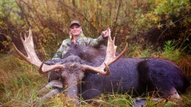 Shiras moose in Utah - Ann Cooper