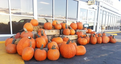 Pumpkins and Ammo Boxes