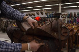 Make sure and clean your saddle fenders and the jockey