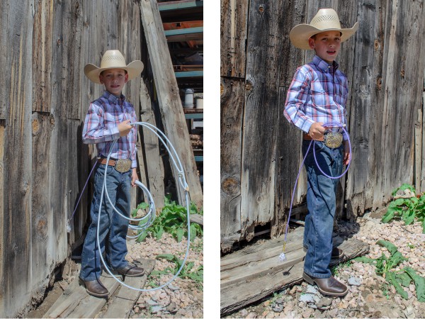 Bristle Brush for cleaning Western tack - Smith and Edwards Blog