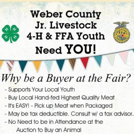 Weber County Junior Livestoc 4-H and FFA Youth need YOU!
