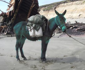 Blue Mule - image originally by Dario Urruty via Wikipedia