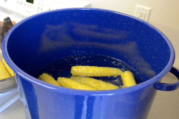 Resting the corn in an ice bath