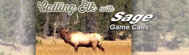 Calling Elk with Sage Game Calls