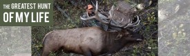 Paul Rochell's 6x6 Manti bull elk!