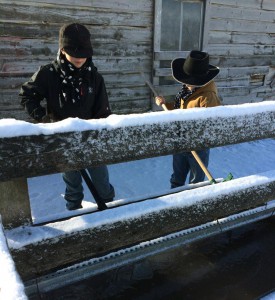 Breaking ice in the trough - Wells is wearing a Stormy Kromer hat, and both boys are staying warm with wild rags!