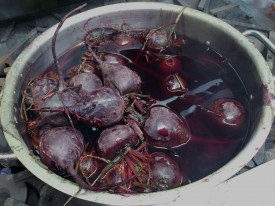 Boiling the beets with their stems & tails on will keep the rich purple-red color from bleeding out!