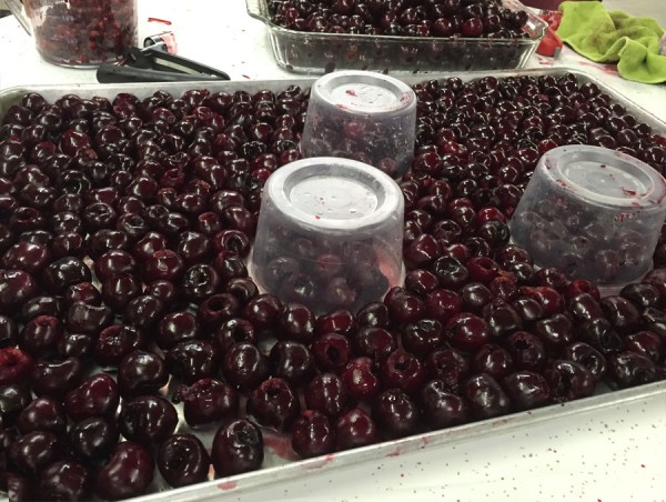 getting-ready-to-freeze-cherries