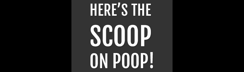 Here's the Scoop on Poop