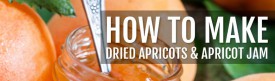 How to make dried apricots & apricot freezer jam