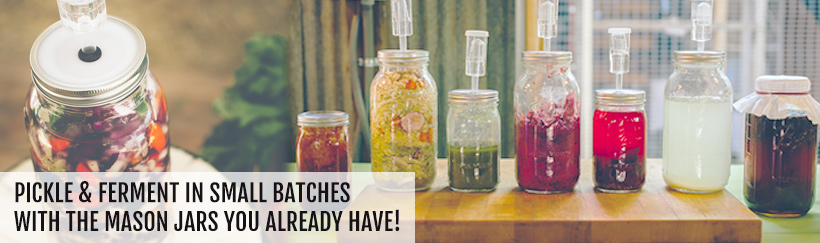 Pickle & Ferment in small batches with your own mason jars.