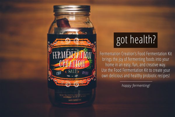 Fermentation Creation - Got Health?