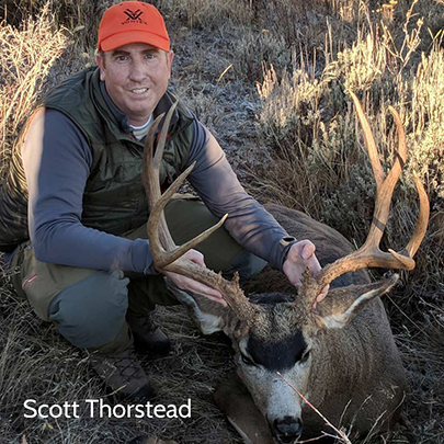 Scott Thorsted's mule deer