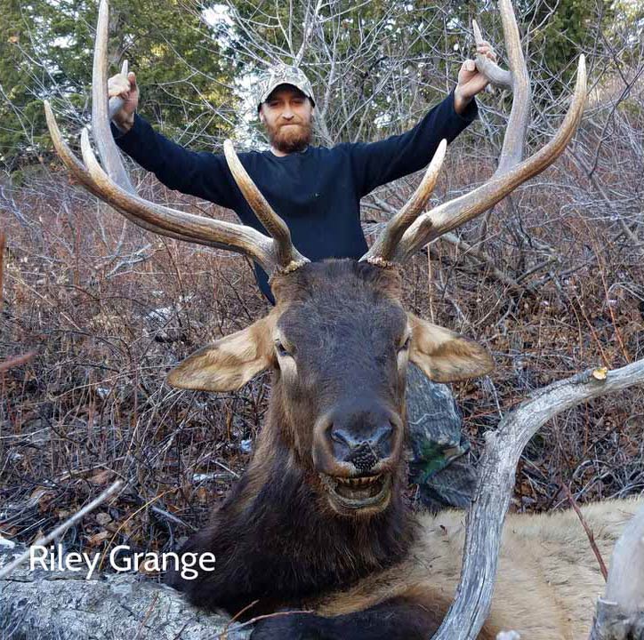 Riley Grange's first bull elk