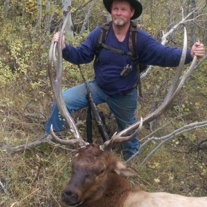 Brett's elk