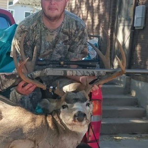 Kevin's Deer