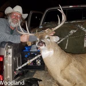 Scott Woodland's whitetail deer view #1