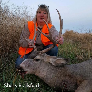 Shelly Brailsford's mule deer